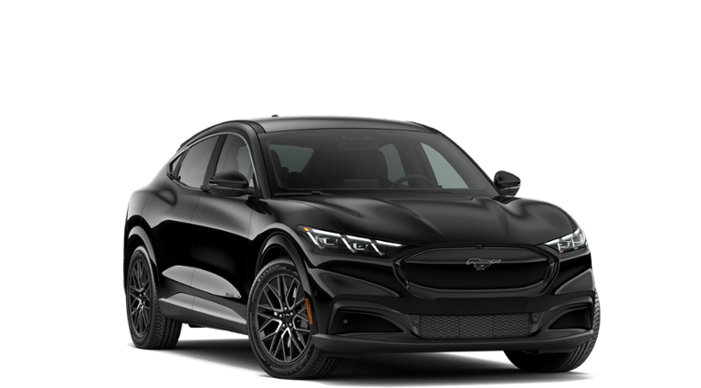 Mustang Mach-E® vehicle
